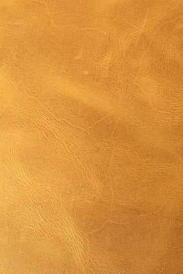 Journal With Insert
