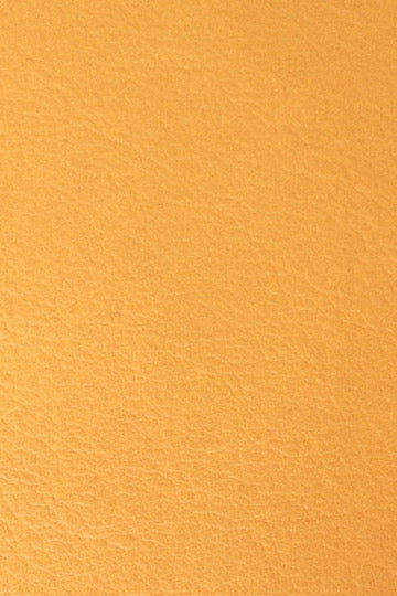 Journal With Insert